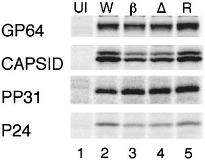 FIG. 5.