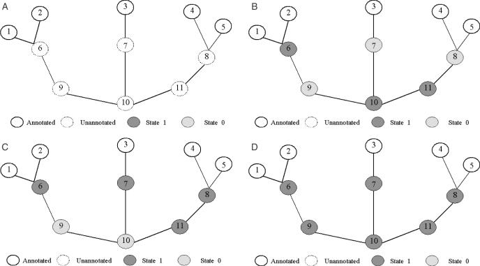 Figure 7