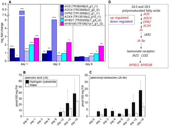 FIGURE 3