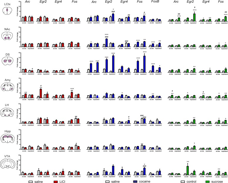 Figure 2—figure supplement 3.