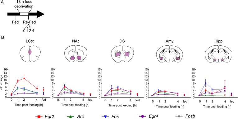 Figure 2—figure supplement 4.