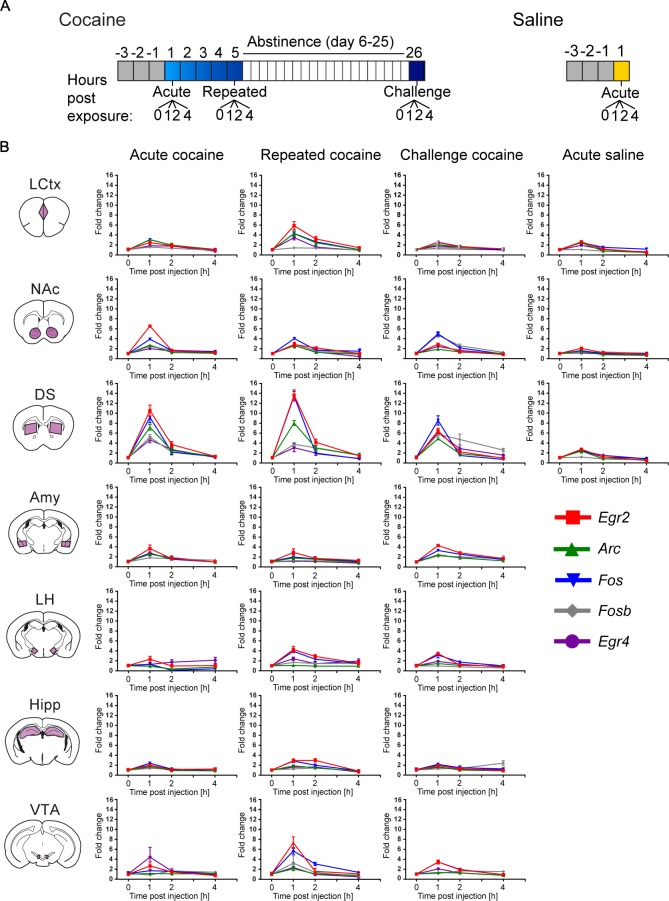 Figure 1—figure supplement 3.