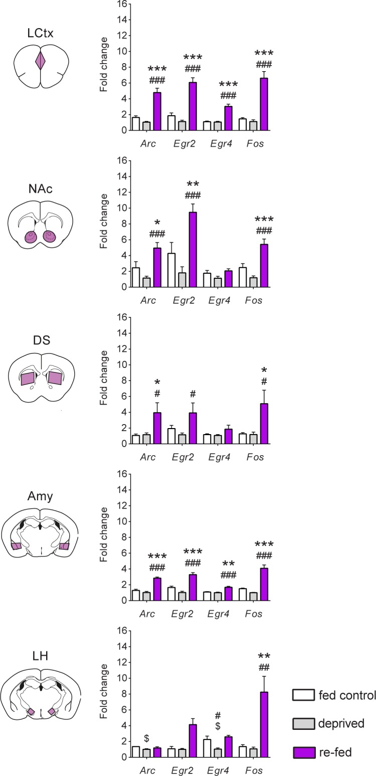 Figure 2—figure supplement 5.