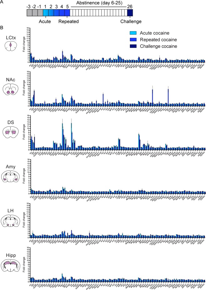 Figure 1—figure supplement 2.