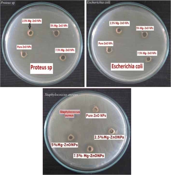 Fig. 10