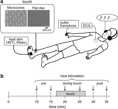 Fig. 1