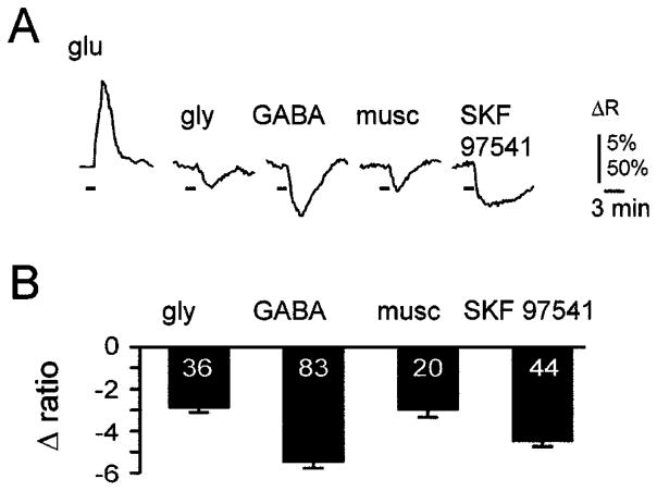 Fig. 8