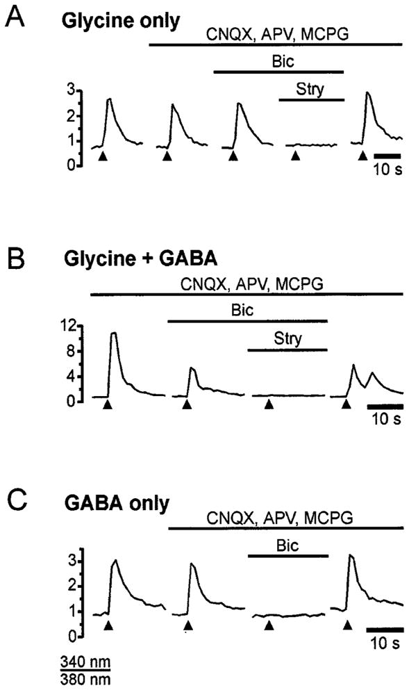 Fig. 10