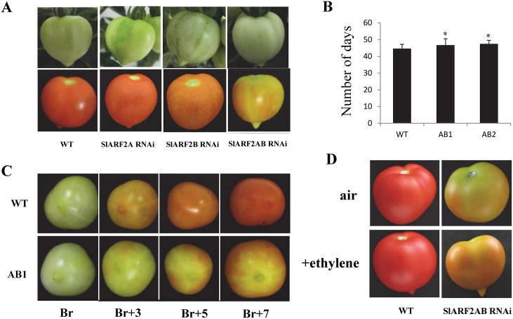 Fig 6