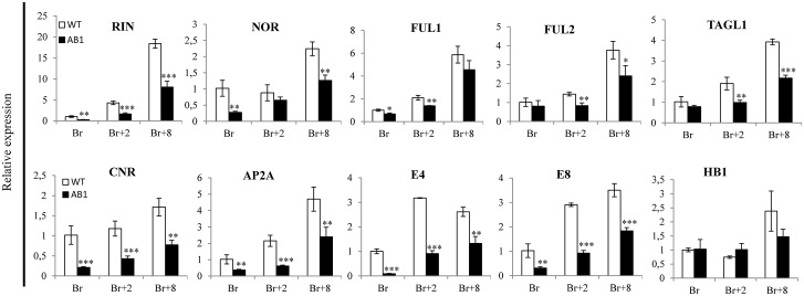 Fig 12