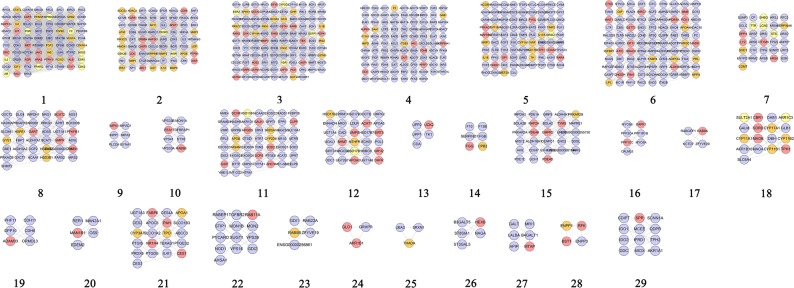 Figure 13