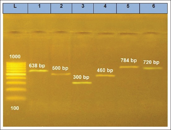 Figure-1