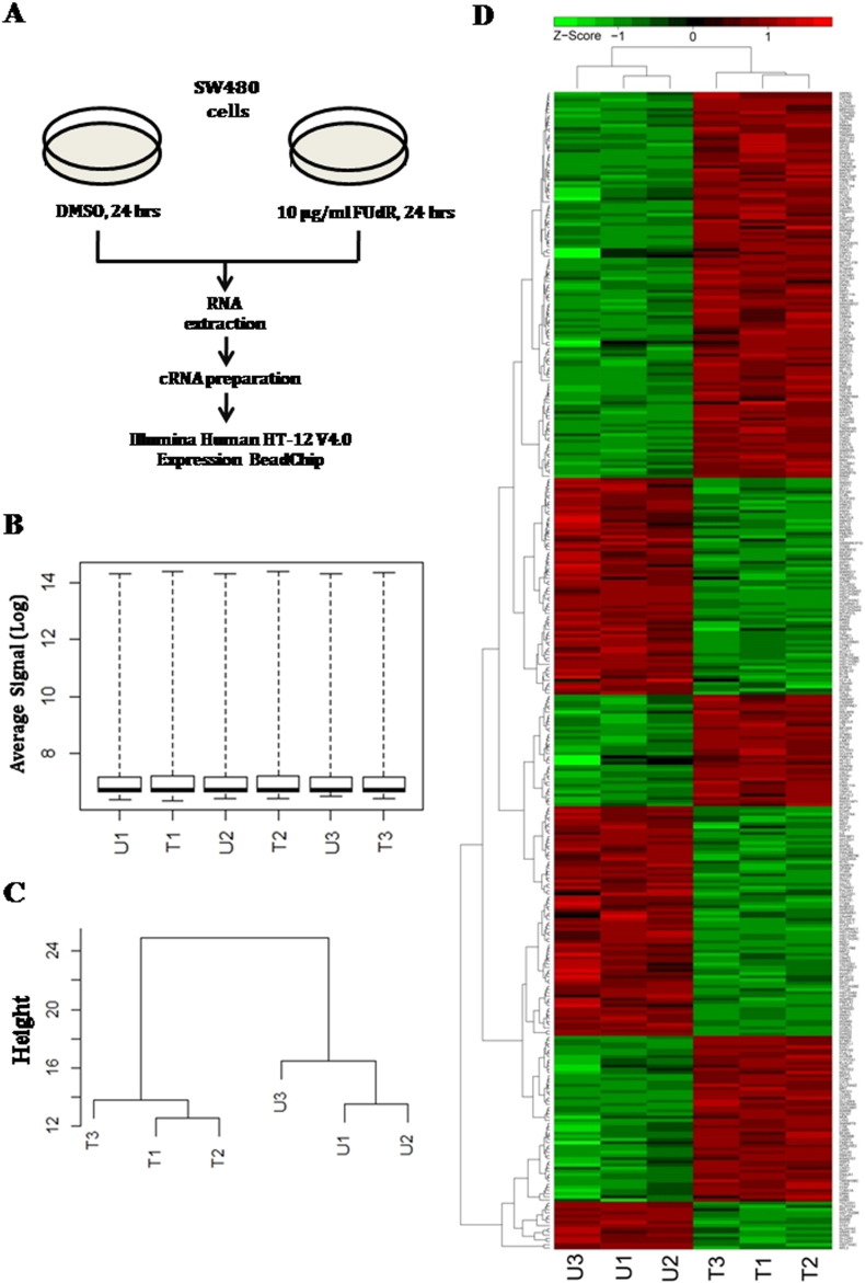 Transcriptome profiling identifies genes and pathways deregulated upon ...