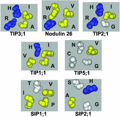 Figure 5.