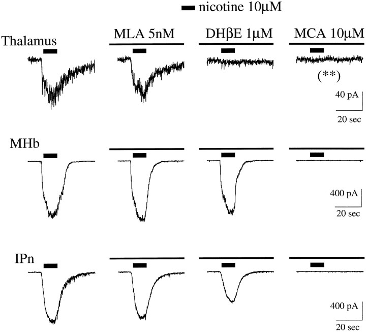 Fig. 10.