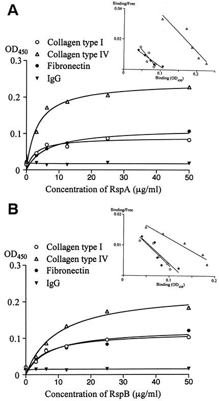 FIG. 8.