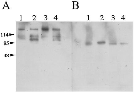 FIG. 10.