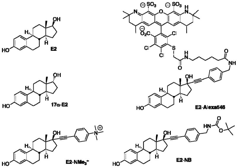 Fig. (2)