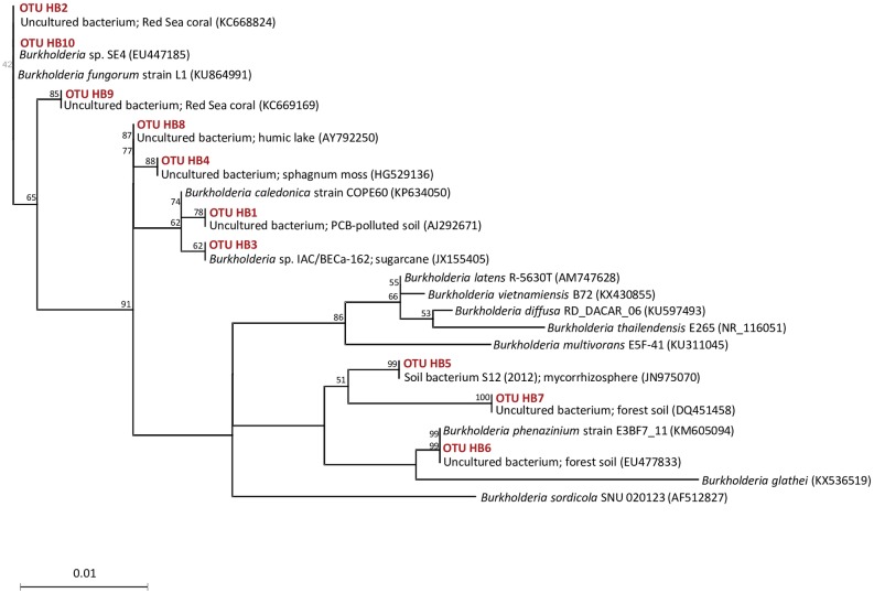 Fig 5