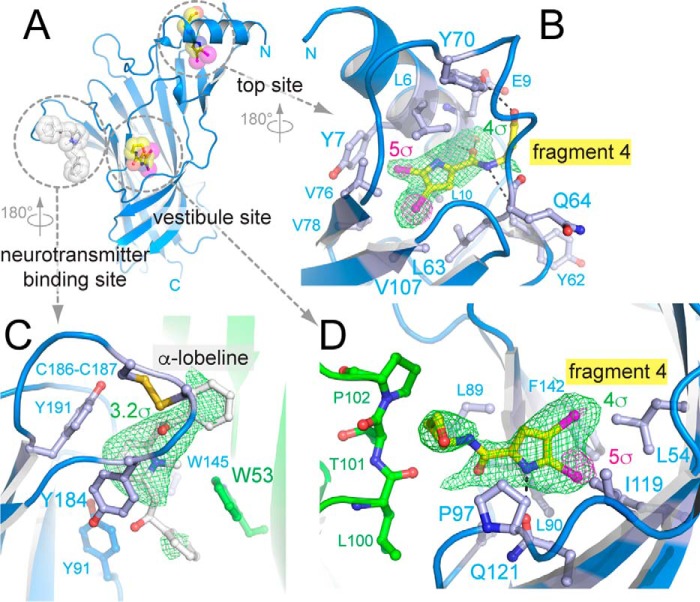 Figure 2.