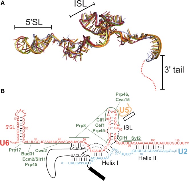 FIGURE 6.