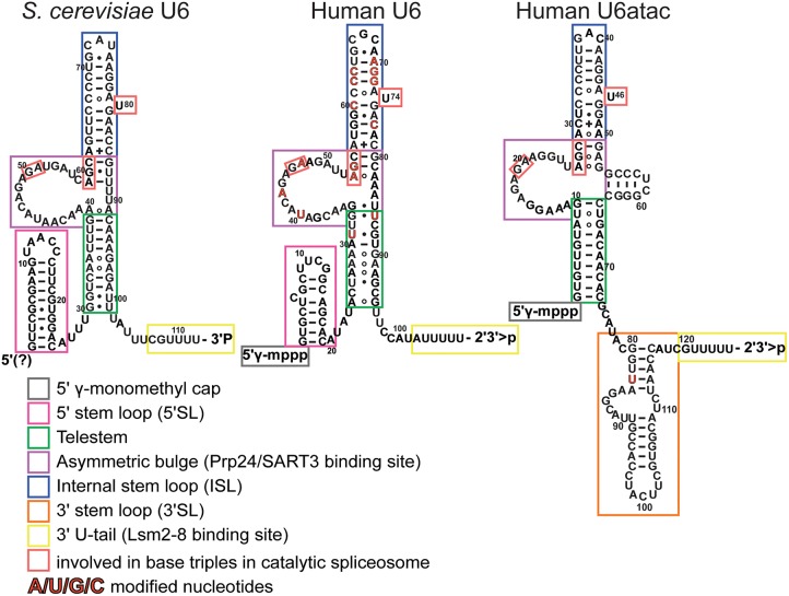 FIGURE 4.