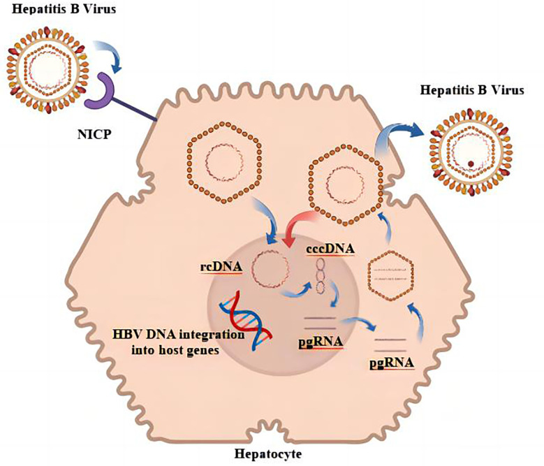 Figure 1