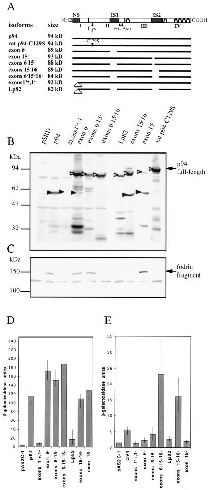 FIG. 6