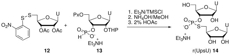 Scheme 3