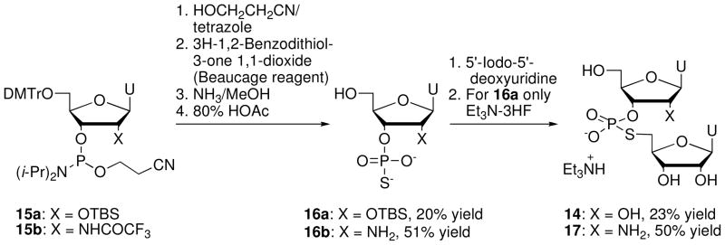 Scheme 4