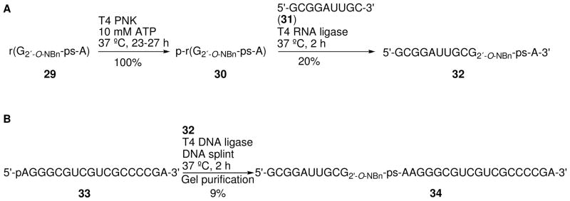 Scheme 8