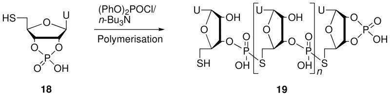 Scheme 5