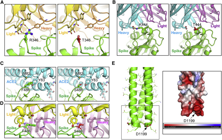 Figure 4