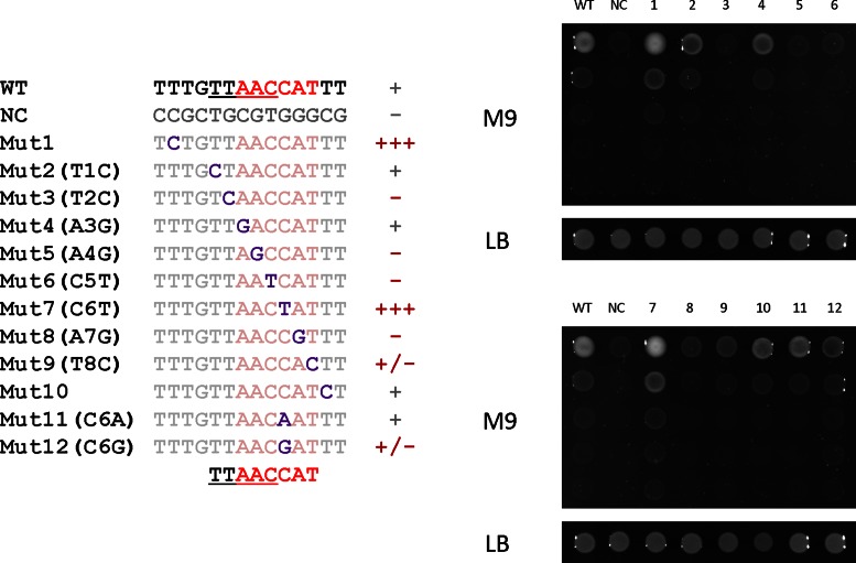 Figure 4.