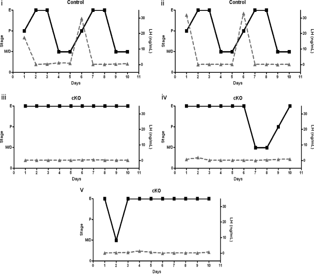 Fig. 10.