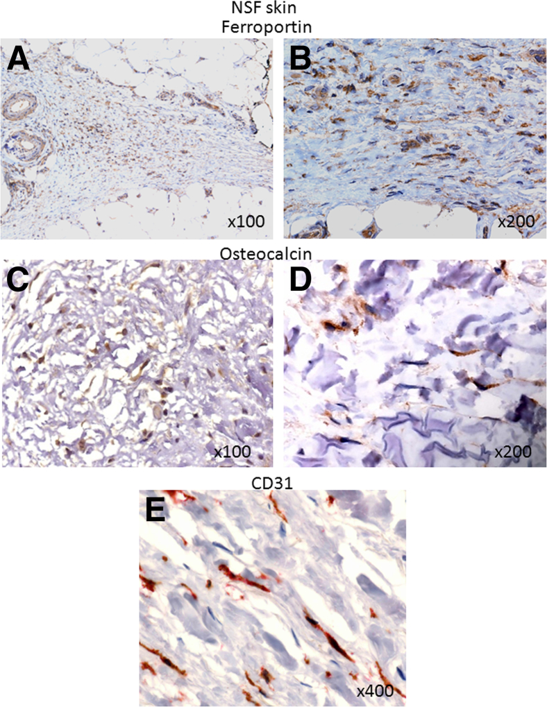 Figure 7