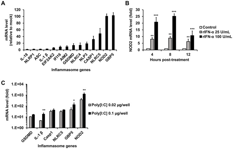 FIG 1