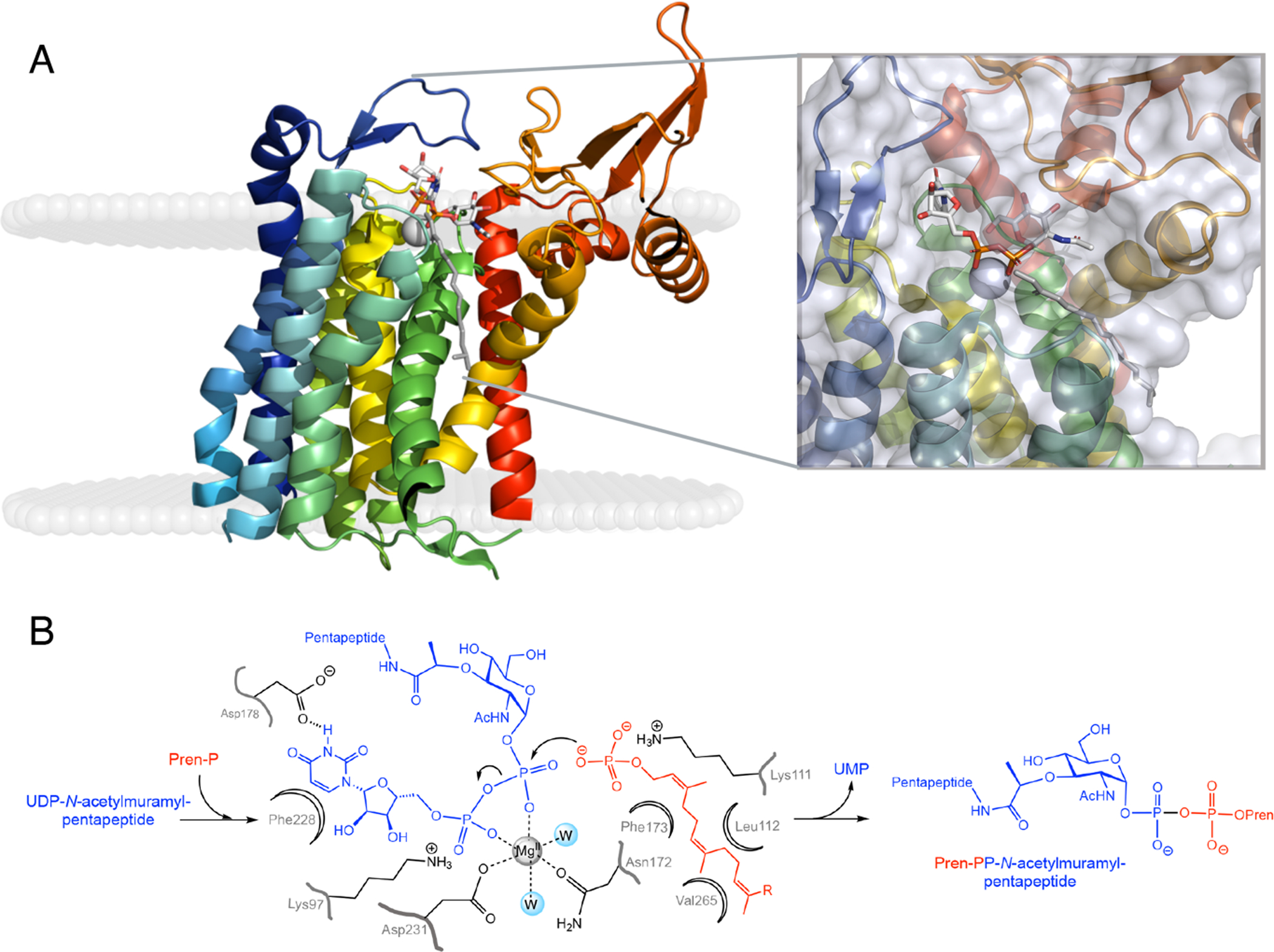 Figure 4.