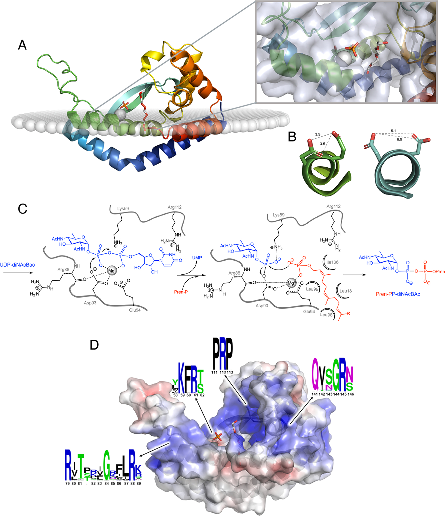 Figure 5.