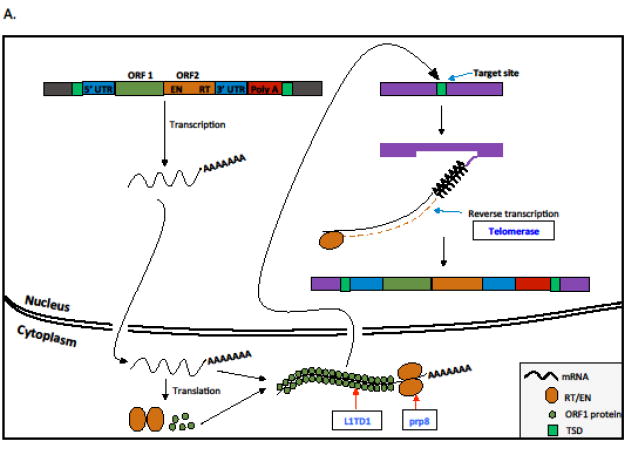 Key Figure, figure 1