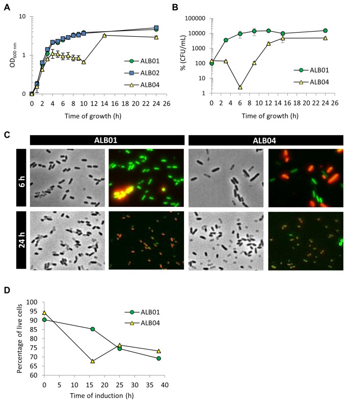 Figure 2