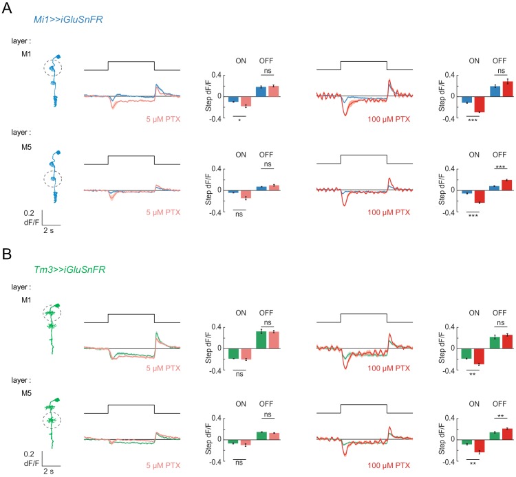 Figure 2—figure supplement 3.