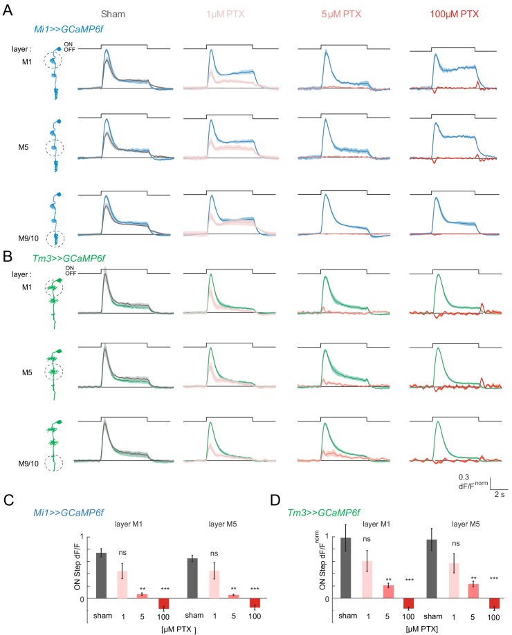 Figure 2—figure supplement 2.