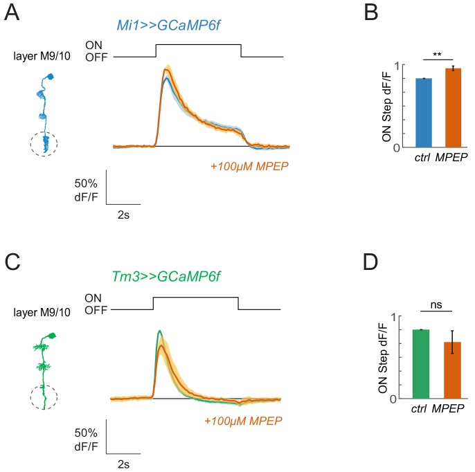 Figure 2—figure supplement 1.