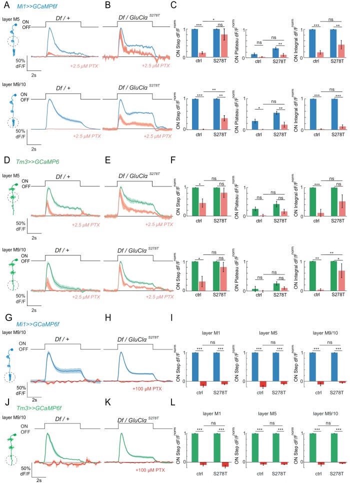 Figure 6—figure supplement 1.