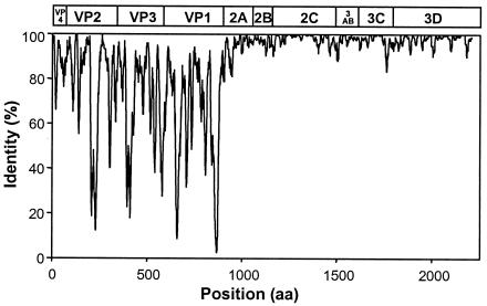 FIG. 1.