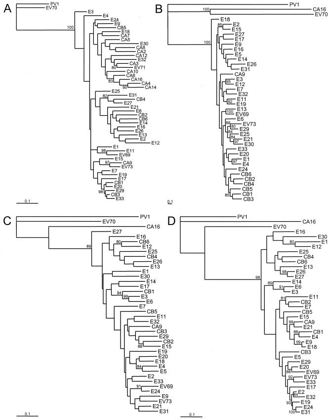 FIG. 2.