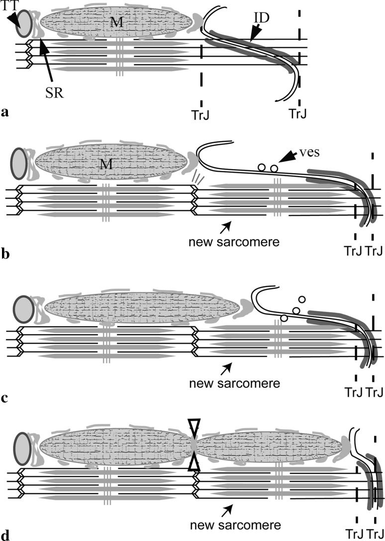 Fig. 8