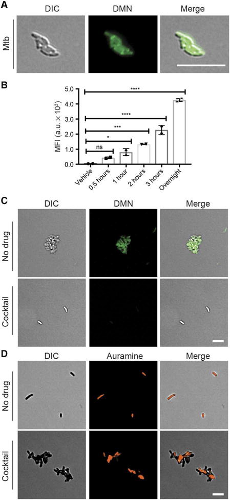 Fig. 7