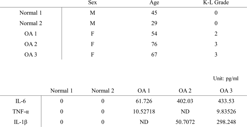 fig s3